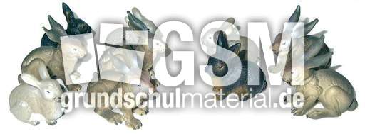 Hasen6+4.jpg